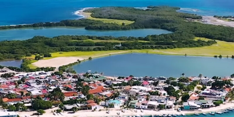 Ecobuzos Los Roques