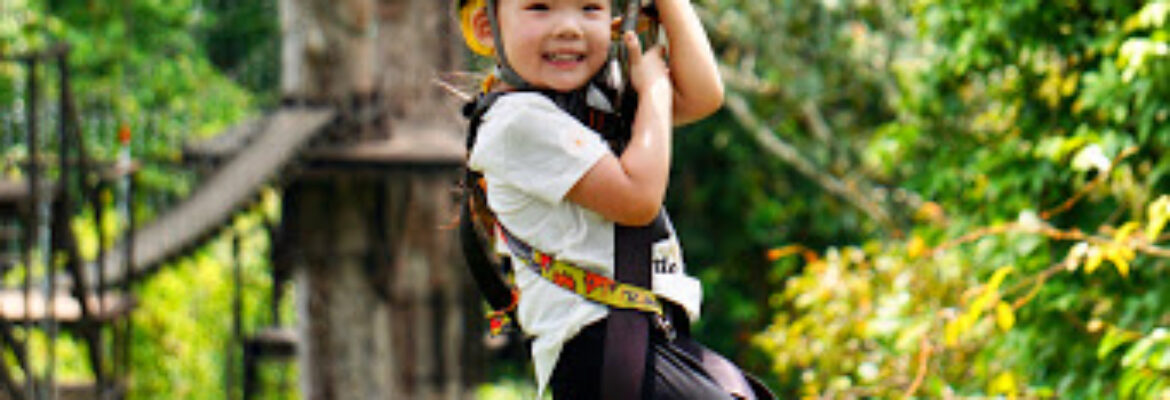Angkor Zipline