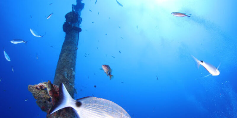 OKDivingMalta