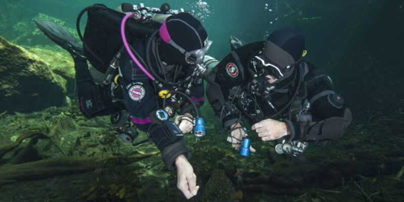 Kapr Divers