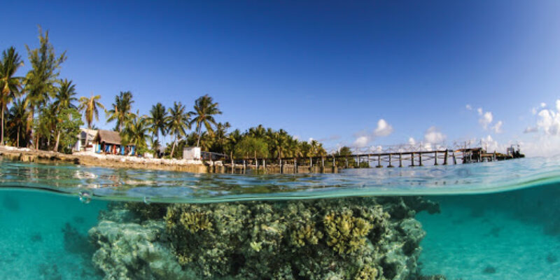 Dive Spirit Fakarava