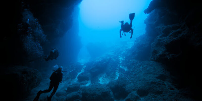 Dive Tonga Limited