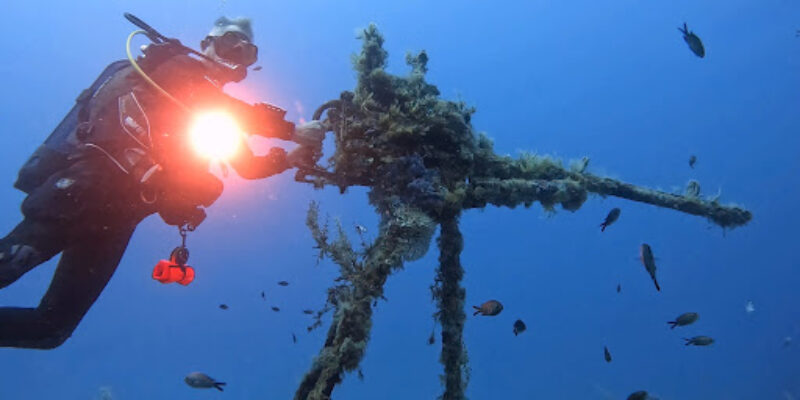 Dawn Diving