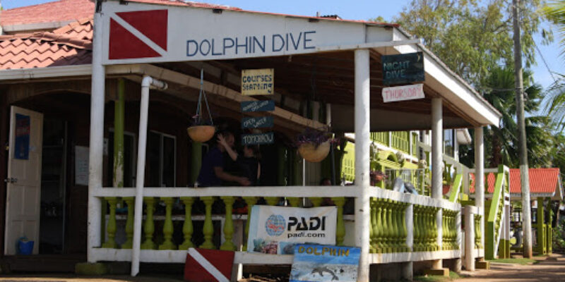 Dolphin Dive
