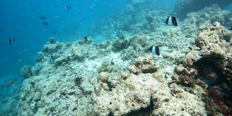 SUB AQUA Divecenter Thulhagiri