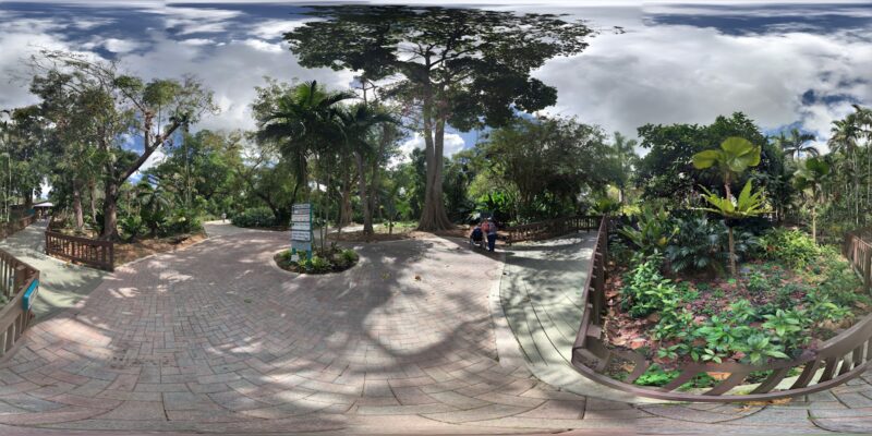 Everglades Day Safari – Fort Lauderdale