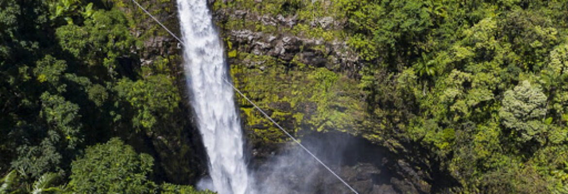Hawaii Zipline Tours