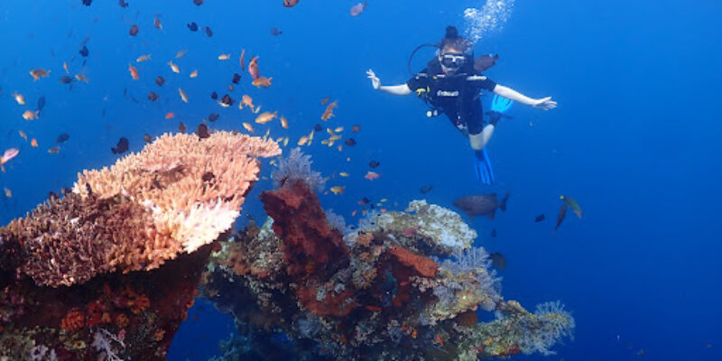 Diving Centers Werner Lau – Alam Anda
