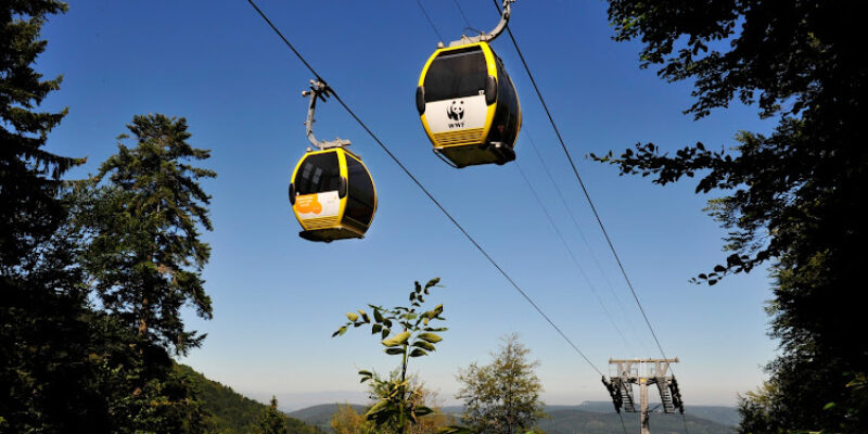 Foundation cableway Reigoldswil-Wasserfallen LRW