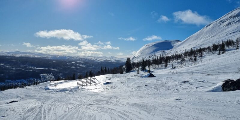 Tegefjäll