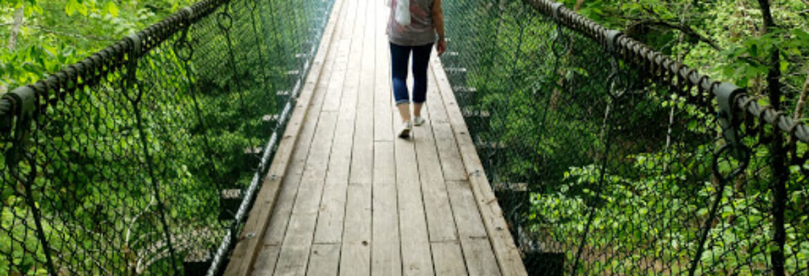 Foxfire Adventure Park