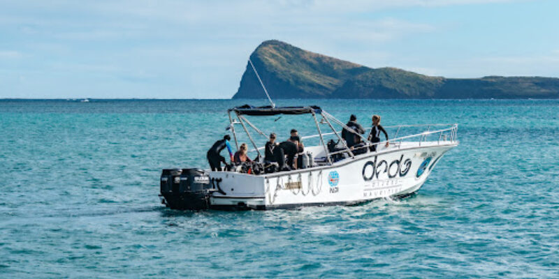 Dodo Divers