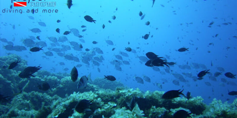 Batrakos Diving
