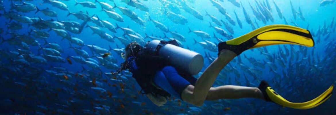 Bahama Divers