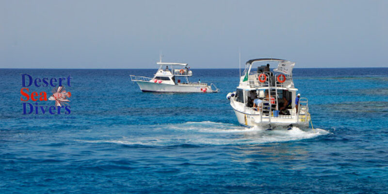 Desert Sea Divers