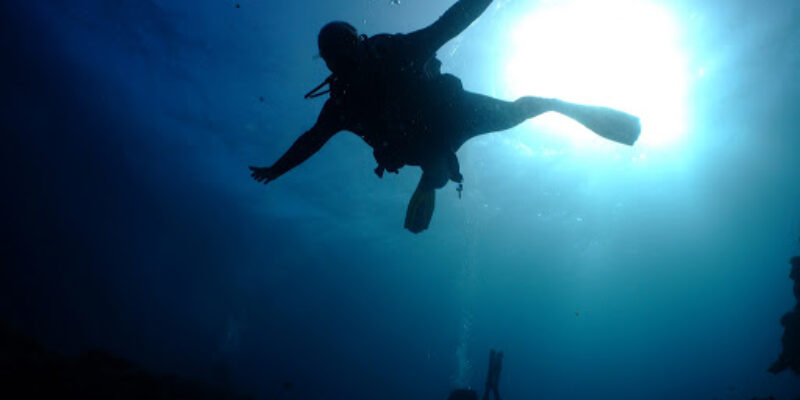 The Dive Base