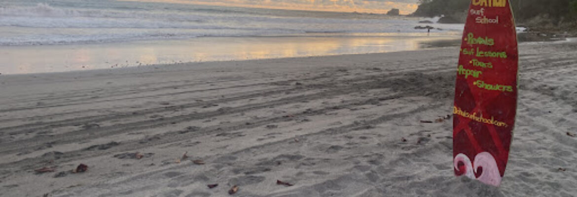 Da Hui Local Surf School