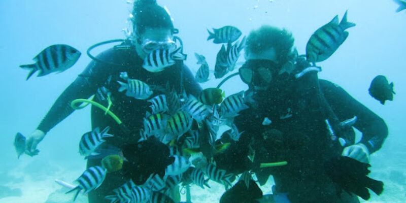 Bali Jet Set Dive And Marine Sports