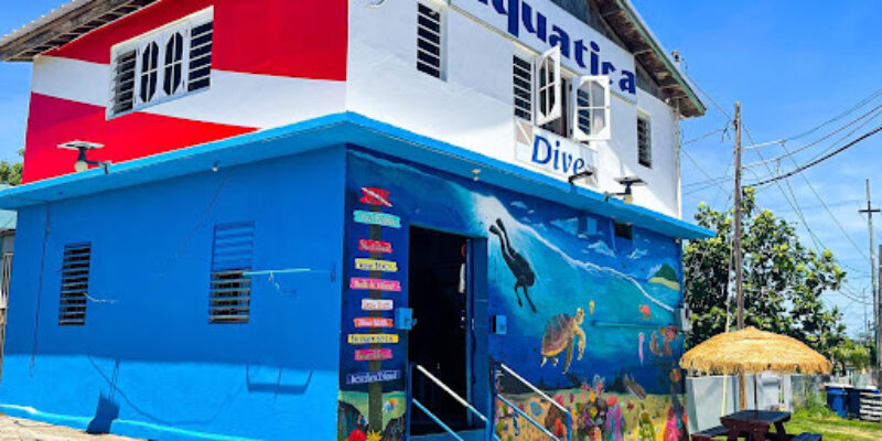 Aquatica Dive & Surf