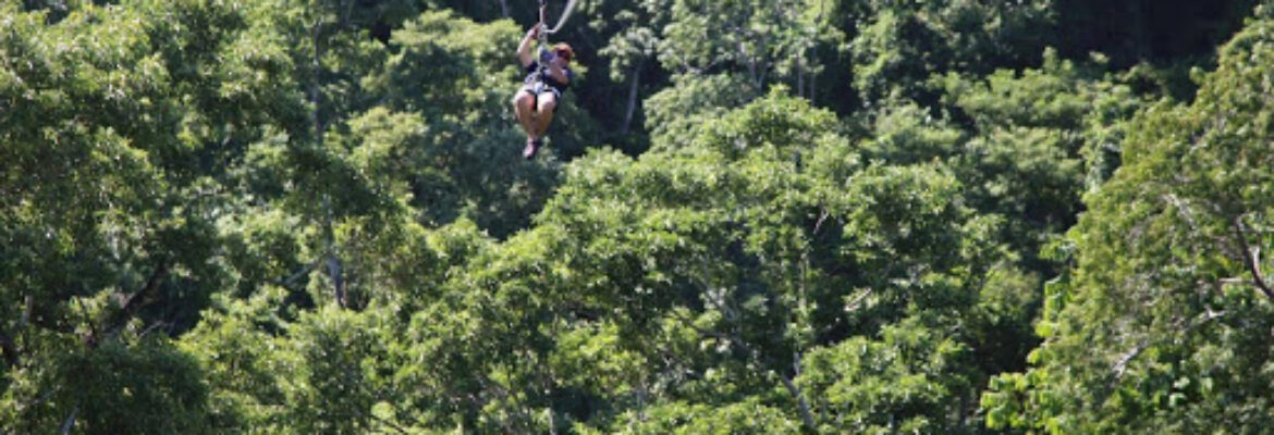 King Kong Extreme Zipline