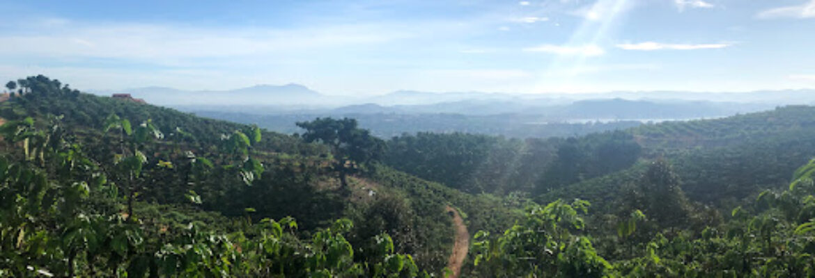 Golden Valley