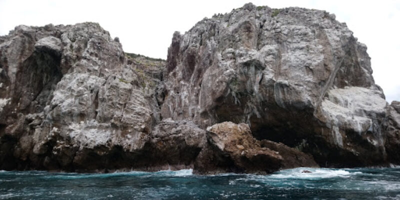 Punta Mita Expeditions