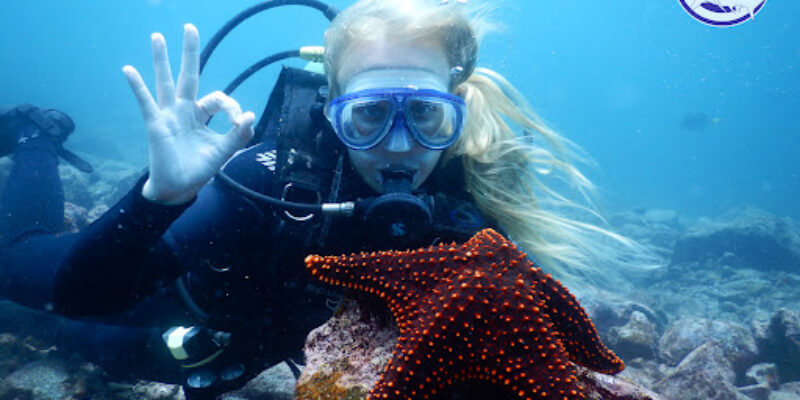 Galapagos Travellers Dive Center