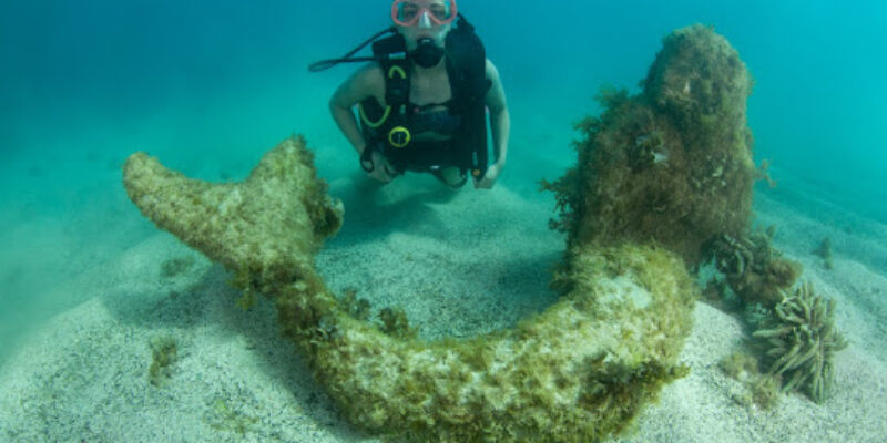 Pro Dive Mergulho