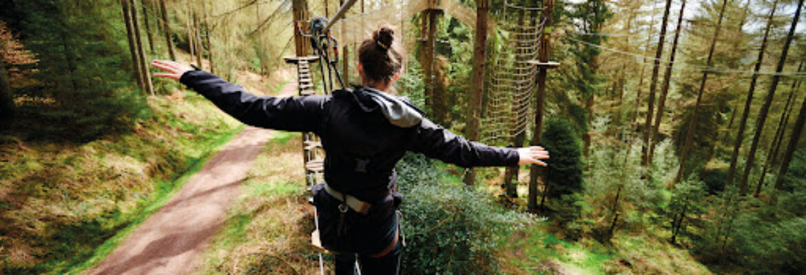Go Ape Thetford