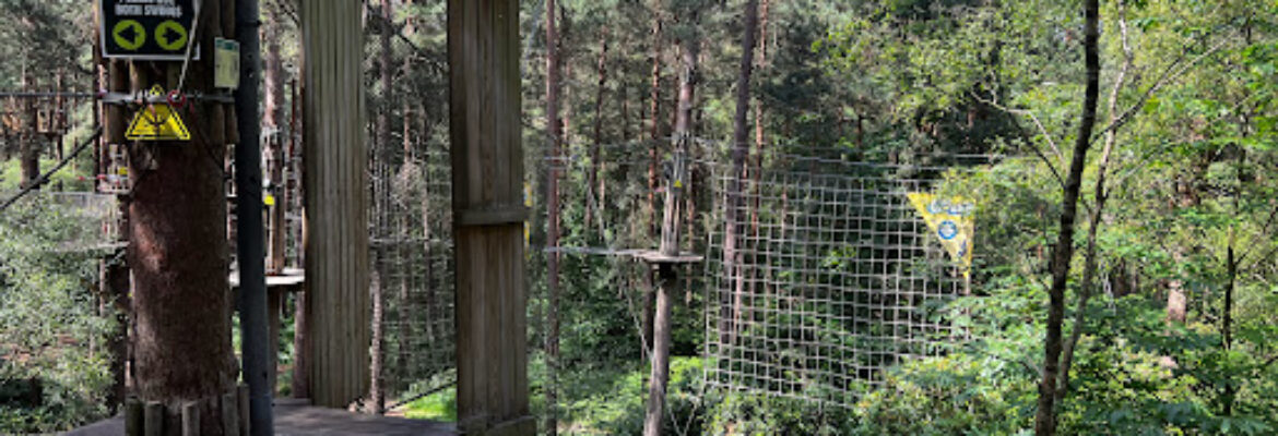 Go Ape Bracknell