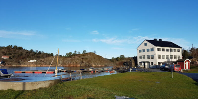 Risøy Folkehøyskole