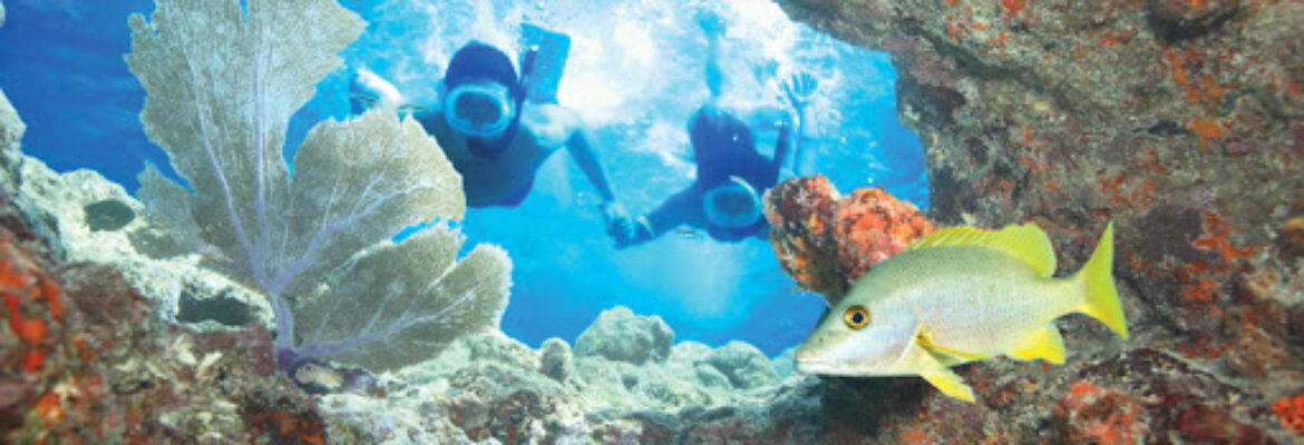 Fury Key West Snorkeling