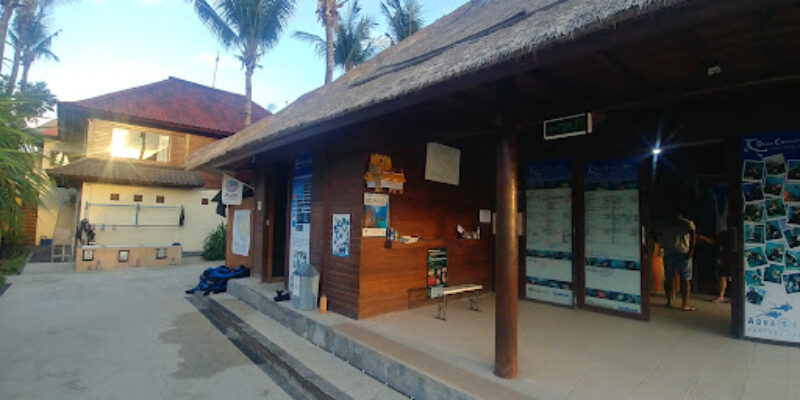 Blue Corner Dive Penida