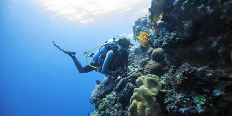 Dive Ningaloo