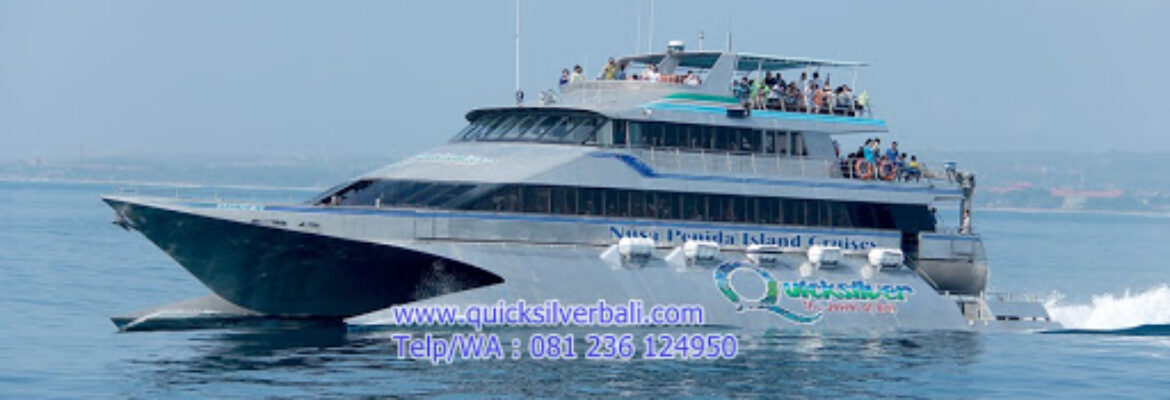 Quicksilver Cruise