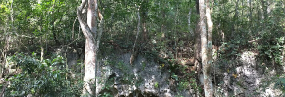 Actun Kan Municipal Regional Park