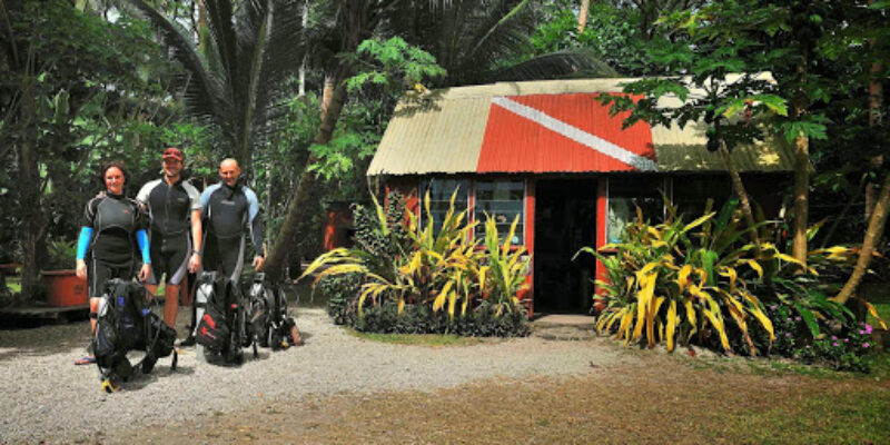 Dolphin Bay Divers Retreat