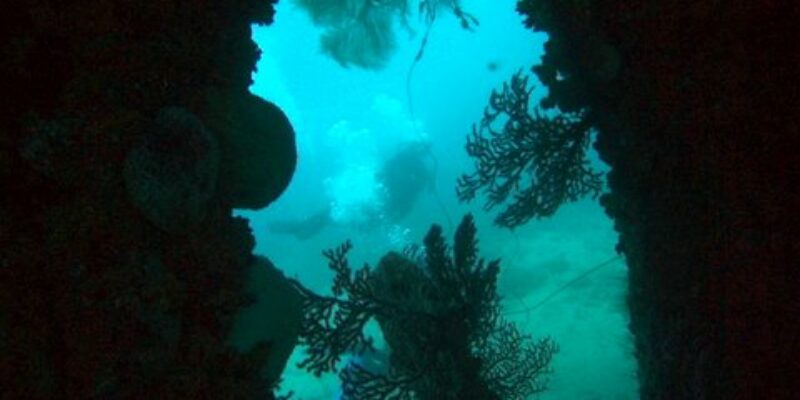 S.E. Aruba Fly’N Dive