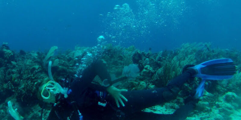 Sub Arctic Scuba
