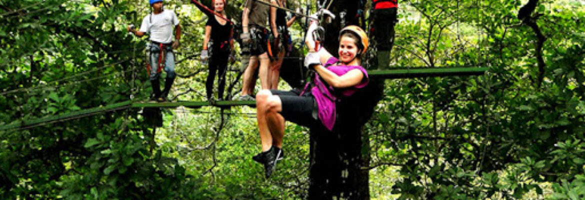 Flamingo Beach Tours with Pininos Adventures Private Tours