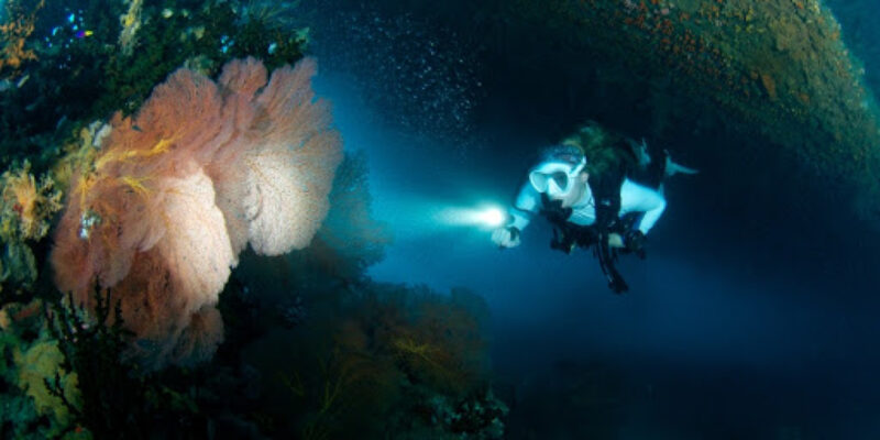 Pacific Dive