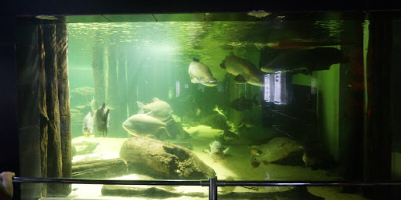 Underwater World