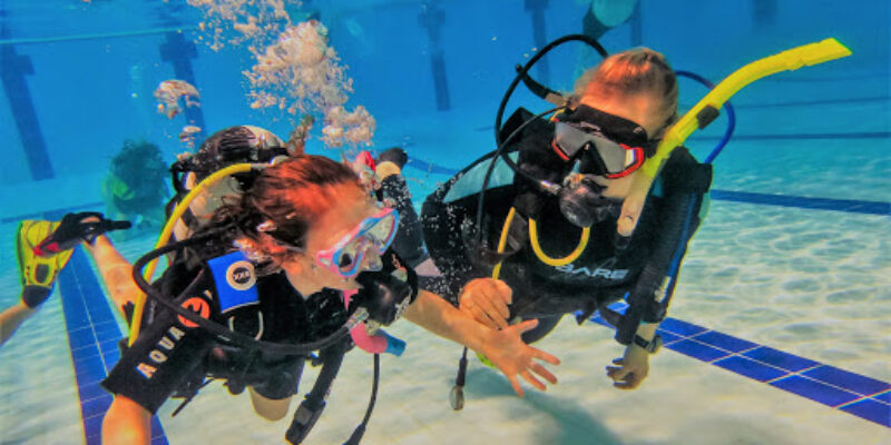 Divecor