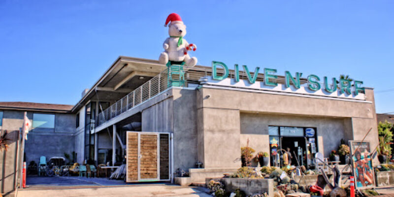 Dive N’ Surf