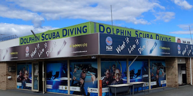 Dolphin Scuba Diving
