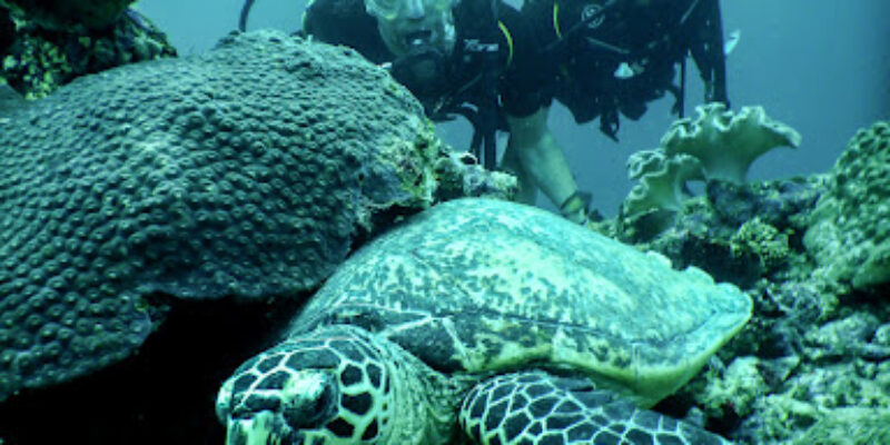 IDive Thudufushi