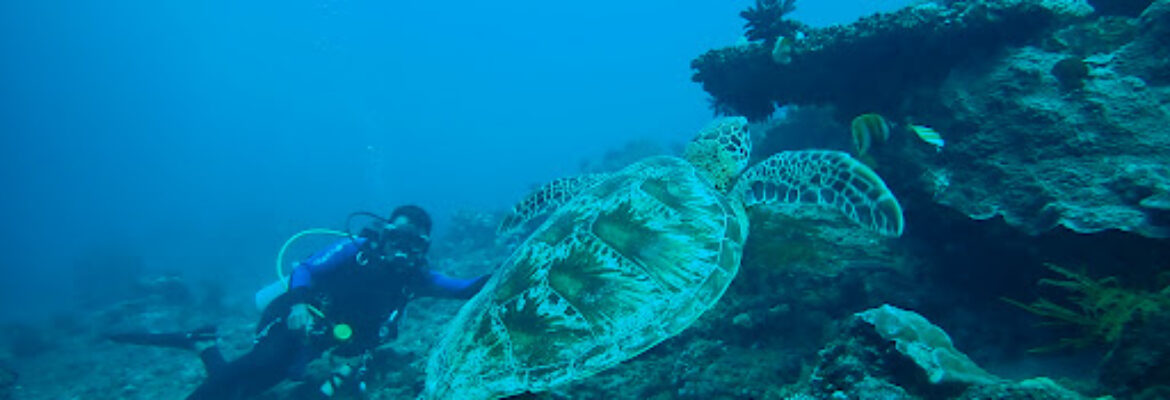 Padangbai Bali Dive