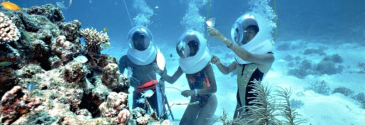 Bali Snorkeling Trip