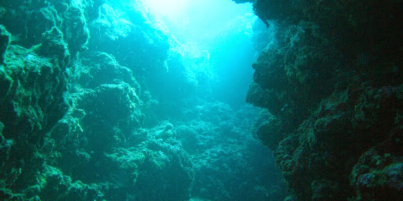 Moorea Plongée