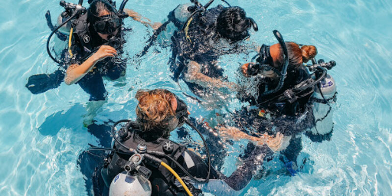 Koh Tao Paradise Divers